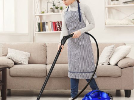 2000W Heavy Duty Multi-purpose Steam Cleaner Mop with Detachable Handheld Unit-Blue Discount