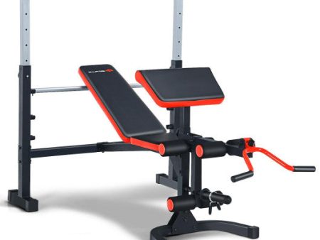 Adjustable Olympic Weight Bench for Full-body Workout and Strength Training Hot on Sale