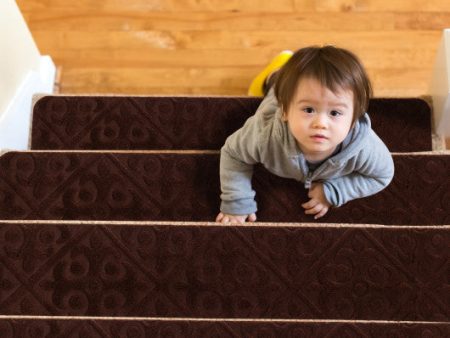 15Pcs Indoor Non-Slip Stair Carpet Mats for Wooden Steps-Brown Online Hot Sale